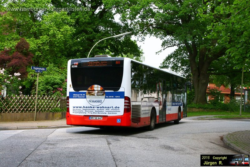 12) 8286-24,SBG,JN.jpg